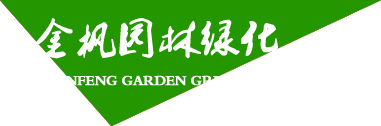 雪帝啤酒